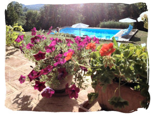 Large lawned garden at this Marche vacation villa rental in Italy